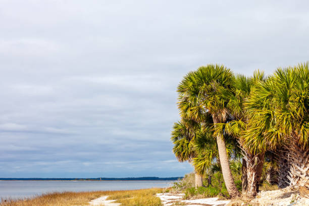 istock Northern Florida landscape - St Marks, Florida 2195370262