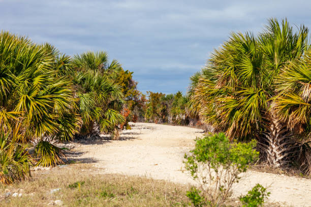 Tasdon swamp Nature Reserve in La Rochelle city. Charente Maritime coast