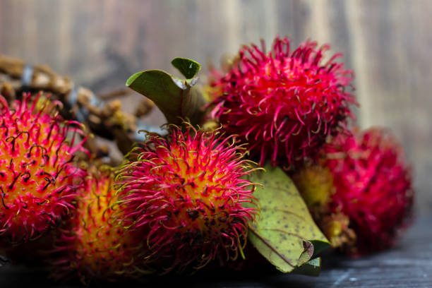 rambutan fruit on a white background