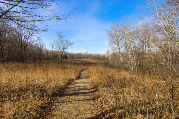 istock Hiking Trail on a Hill in Wisconsin 2195370731