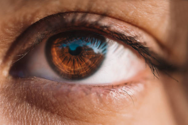 istock Close-up of a brown eye. 2195391587