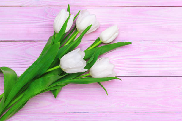 istock Fresh tulips bunch on pastel pink background. creative photo. 2195391659