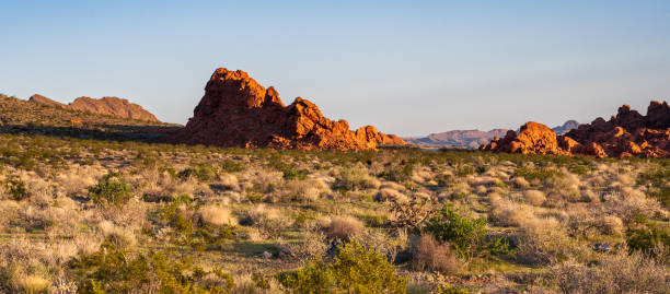 istock Valley of Fire State Park at Dawn 2195393969