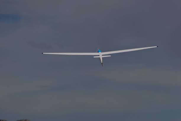 istock Gliding Through the Sky: A Majestic Glider in Flight 2195394447