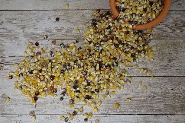 istock Glass gem corn kernels spilling from terracotta bowl onto wooden table 2195395276