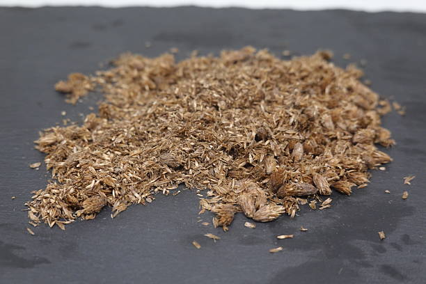 istock Dried yarrow flowers resting on dark stone surface 2195395374