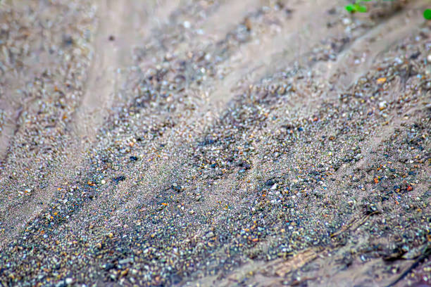 Footprints in the sand, on the beach