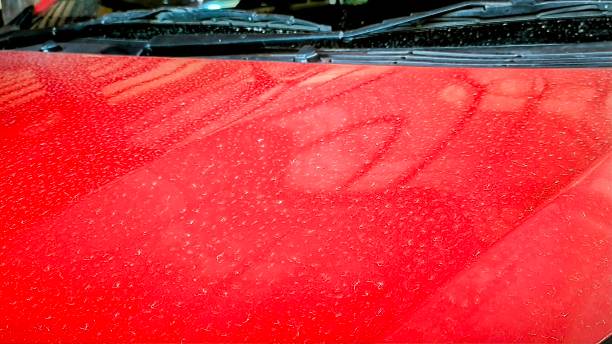 Photo of red car full of dust. Dusty car