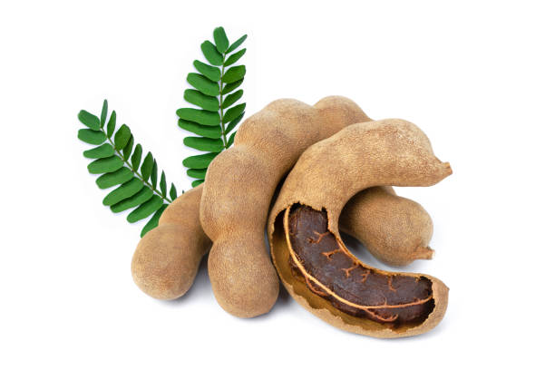 Tamarind stock photo