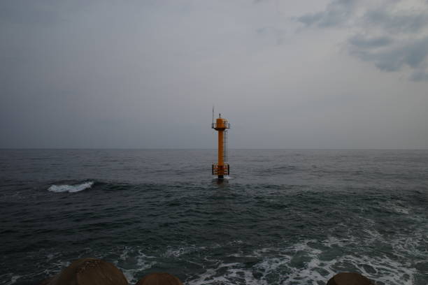 a trip by the sea