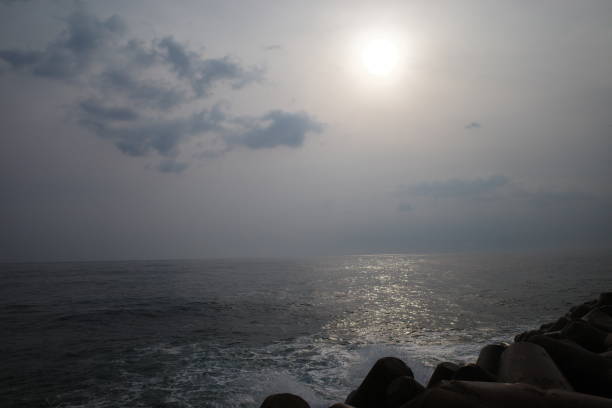 a trip by the sea