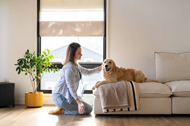 istock Woman interacting with a dog at home 2195402459