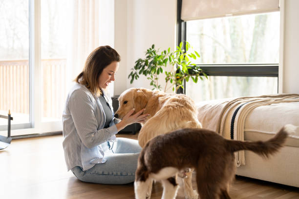 istock Woman interacting with a dog at home 2195402463