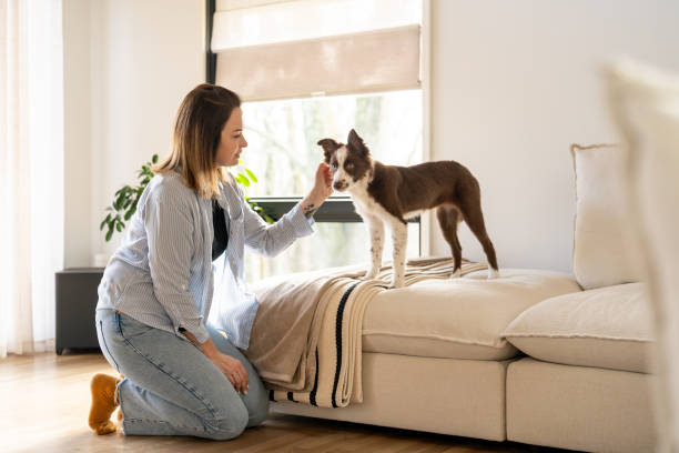 istock Woman interacting with a dog at home 2195402465