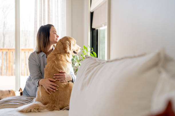 istock Woman interacting with a dog at home 2195402469