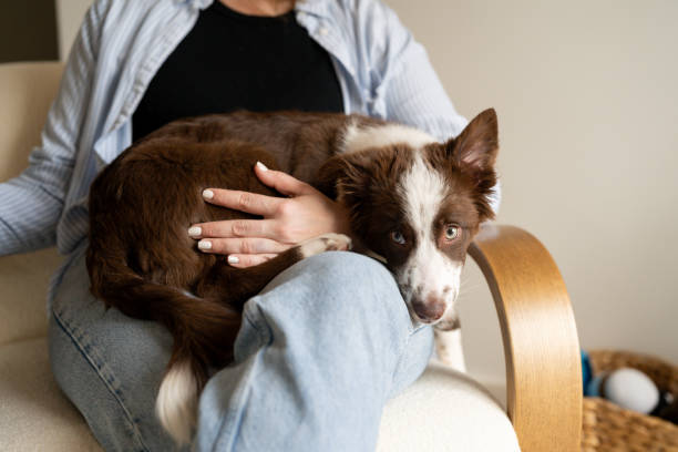 istock Woman holding her dog 2195402480