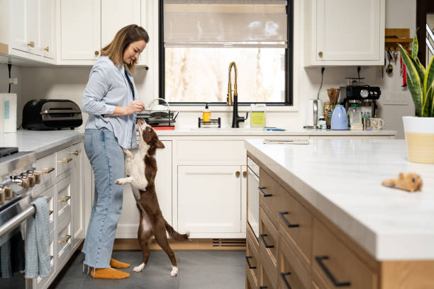 istock Woman interacting with her dog in the kitchen 2195402487
