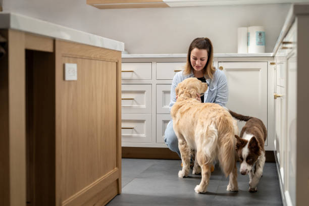 istock Woman interacting with her dogs in the kitchen 2195402490
