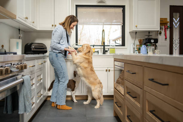 istock Woman interacting with her dogs in the kitchen 2195402497