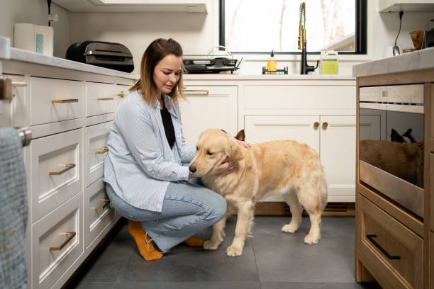 istock Woman interacting with her dog in the kitchen 2195402499