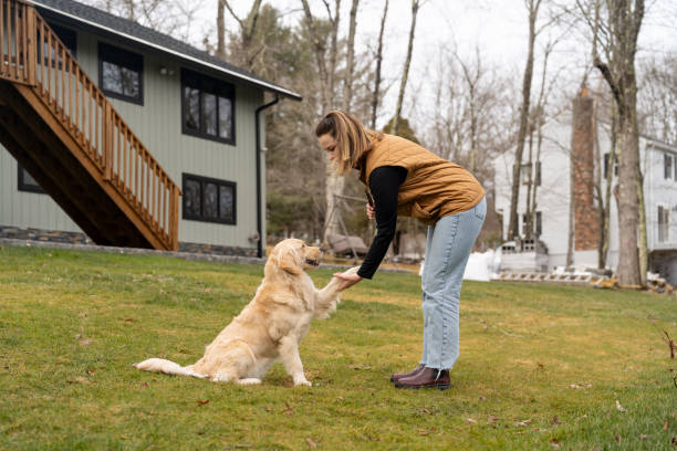 istock Woman training her dog outside home 2195402531