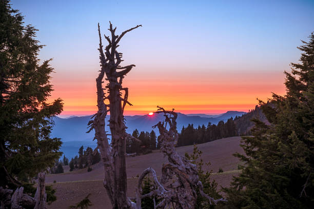 istock Crater Lake Sun Set 2195404063