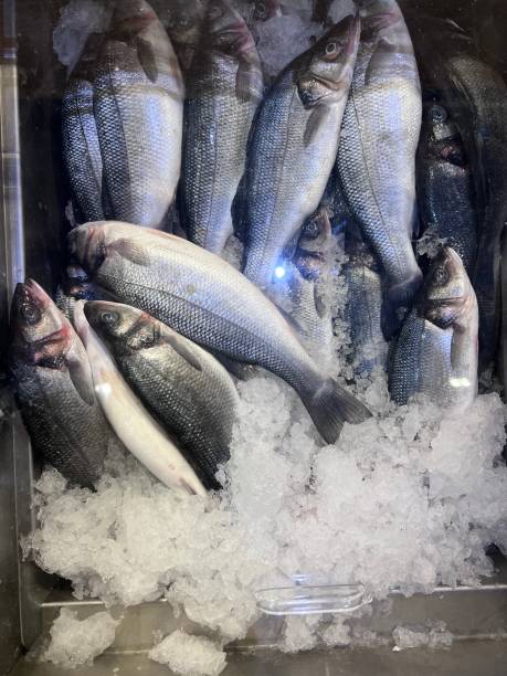 istock Fish in the Grocery Store 2195404261
