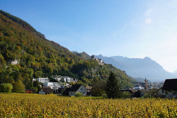 istock view of Vaduz 2195405000