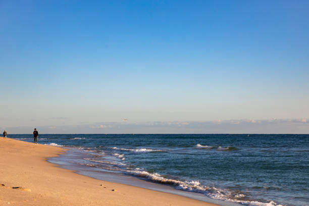 istock Morning Walk Along the Shore 2195405696