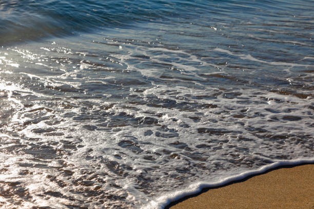 A serene moment as foamy ocean waves gently roll onto the golden sandy shore at Lauderdale-by-the-Sea, Florida. The rhythmic motion of the tide creates a calming, natural pattern, capturing the essence of a peaceful beachscape.