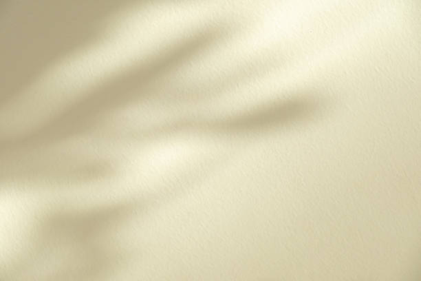 istock Studio style background wall decoration presentation uses white and beige tones. with shadows cast from a nearby window, concept creating a decorative 2195406230