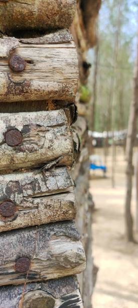 istock Close-up of weathered log cabin corner with rusty nails. 2195407123