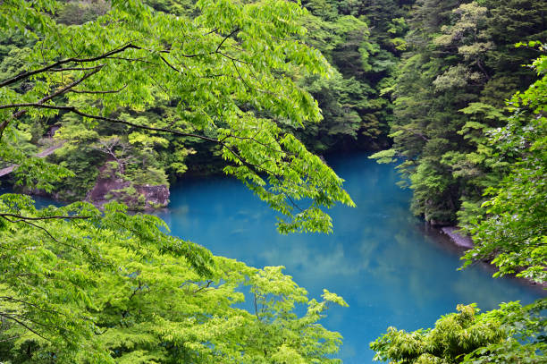 istock Dream Suspension Bridge of Sumata Gorge 2195407727