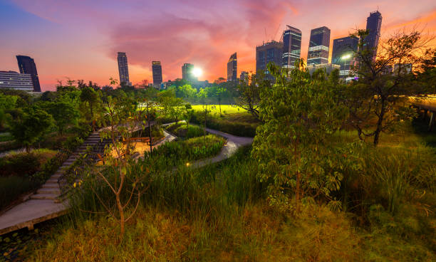 istock Benjakitti park in Bangkok 2195408512