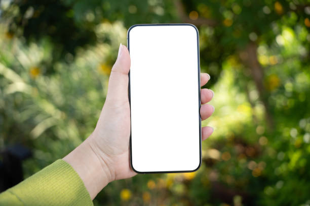 istock Smart phone mockup. Women hands holding cell telephone blank copy space screen smartphone blank white screen isolated technology concept. 2195409596