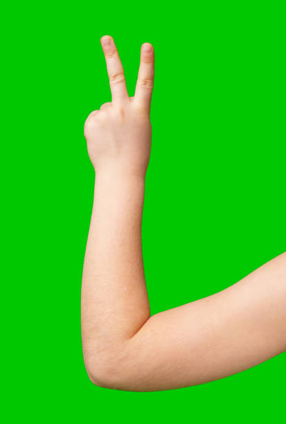 istock A child's hand displaying a peace sign against a bright green background 2195412117