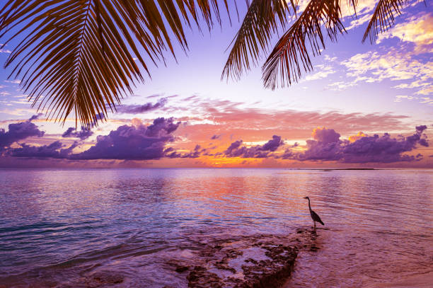 istock Tropical paradise beach with dramatic sky and colorful clouds during the sunset 2195415429
