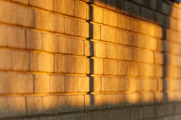 The brick wall is illuminated by the sun, casting a shadow on the ground. The warm light creates a cozy and inviting atmosphere