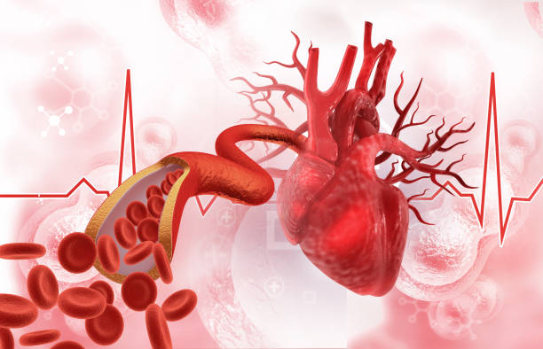 istock Cholesterol blocked artery with human heart 2195420312