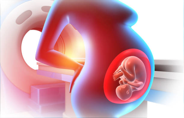 Pregnant women with mri scanning machine. 3d illustration