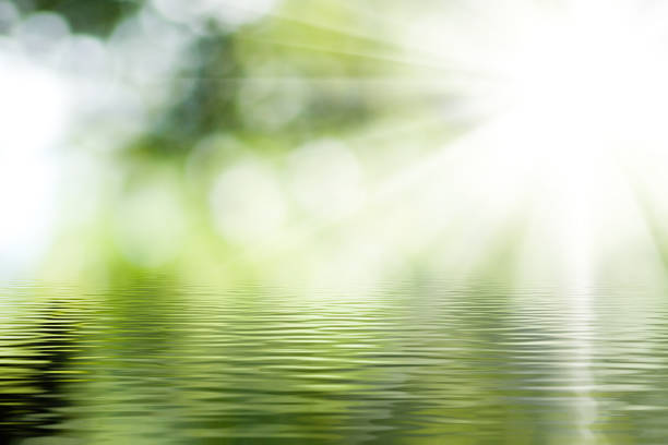 istock Sunlight filters through vibrant foliage, reflecting on serene water in a tranquil natural setting during a peaceful afternoon 2195421635
