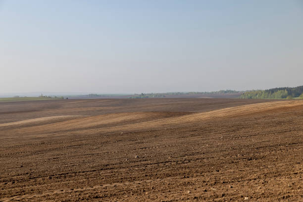 istock fertile soil in spring during the preparation for sowing 2195421649