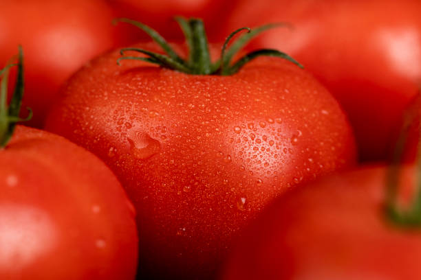 istock wet ripe red tomatoes on the table 2195421736