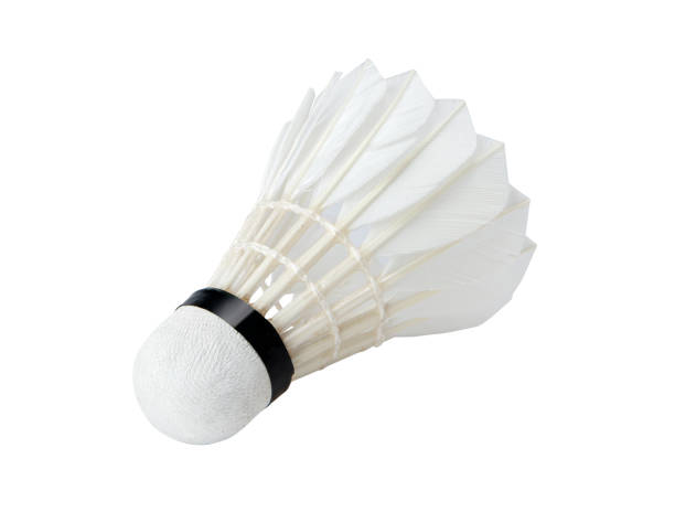 istock Goose Feather Badminton Shuttlecocks isolated on white background with clipping path 2195430807