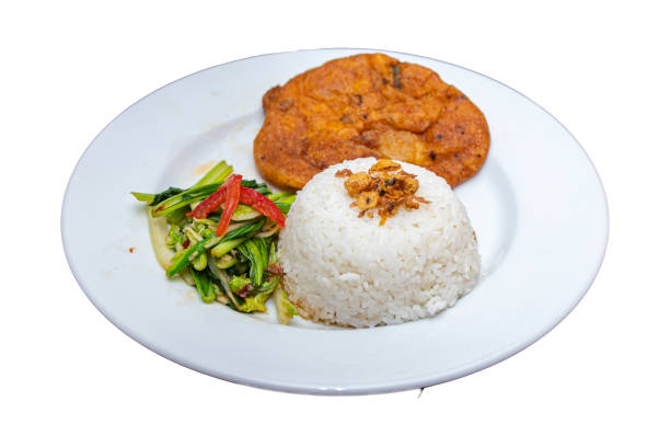 istock Egg Omelette with Vegetables and Steamed Rice on a White Plate with a White Background 2195431502