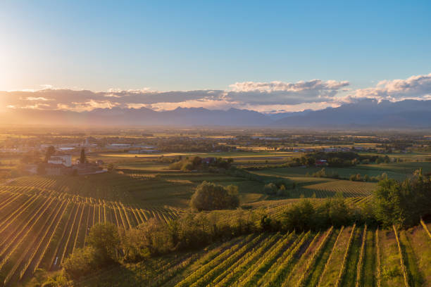 istock Spring sunset in the vineyards of Rosazzo 2195433378