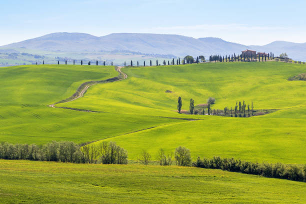 istock Green fields in an Italian rural landscape 2195436101