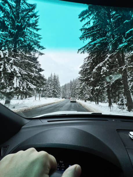 istock Driving through a snowy forest on a serene winter morning 2195436376