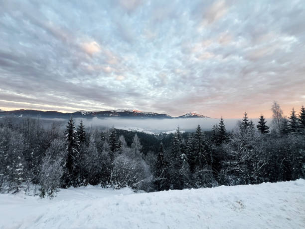 Beautiful winter scenery featuring a snow-covered forest, distant mountains, and dramatic cloud formations. This serene landscape captures the essence of nature's tranquility during the cold season.
