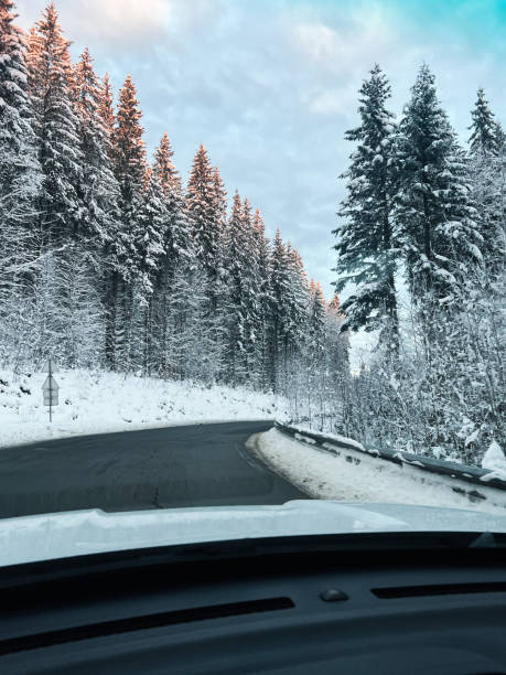 istock Scenic winter roadway through snowy forest with sunset light on treetops 2195437962